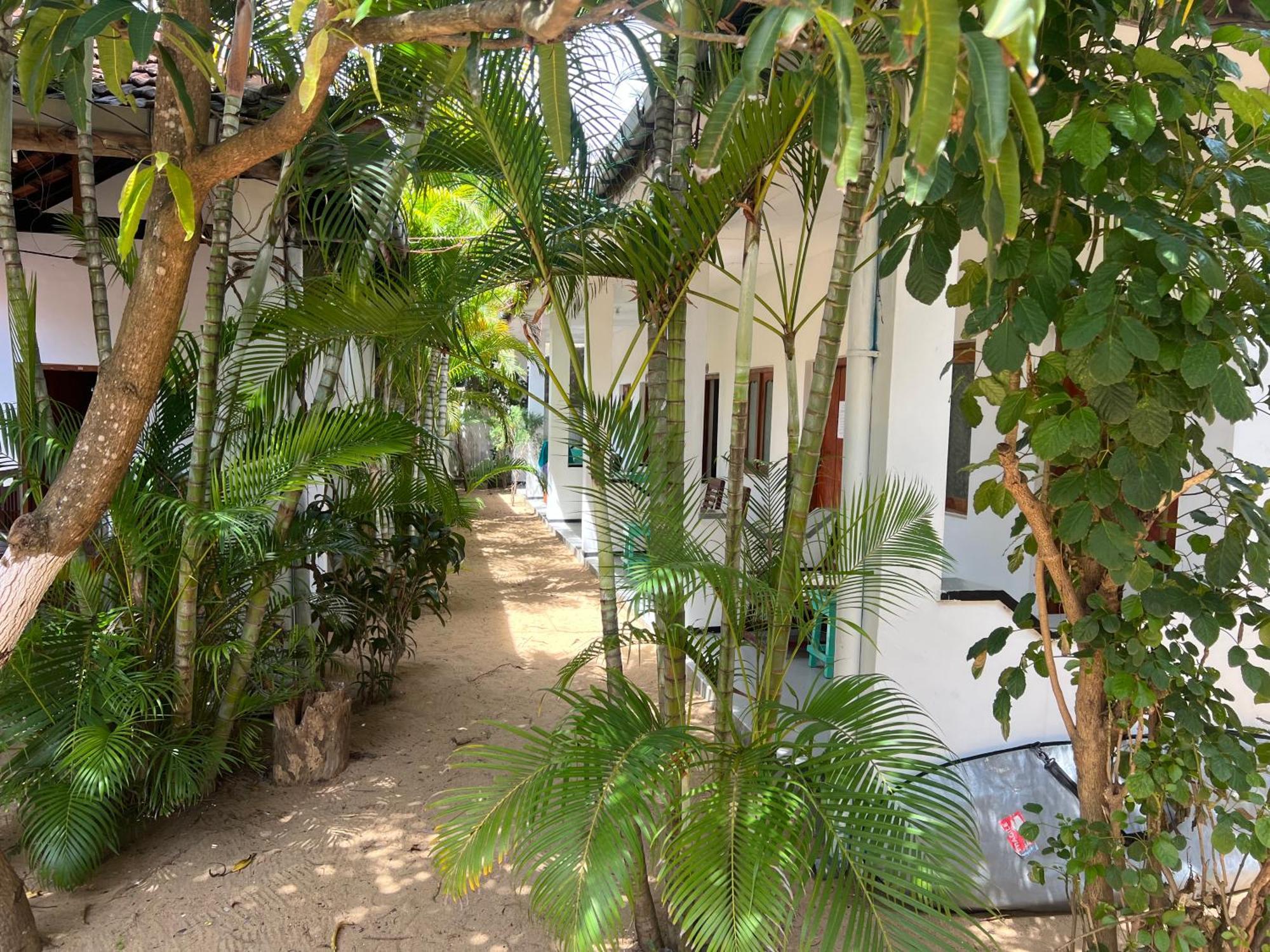 Moxy Bay Arugambay Hotell Arugam Bay Exteriör bild