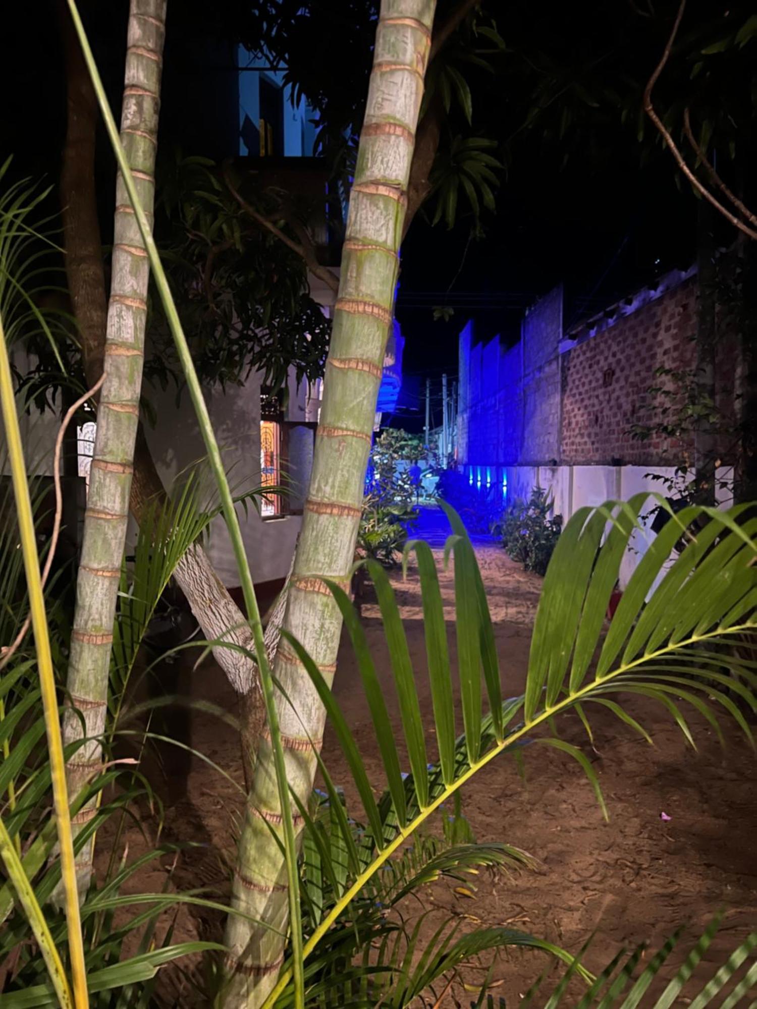 Moxy Bay Arugambay Hotell Arugam Bay Exteriör bild
