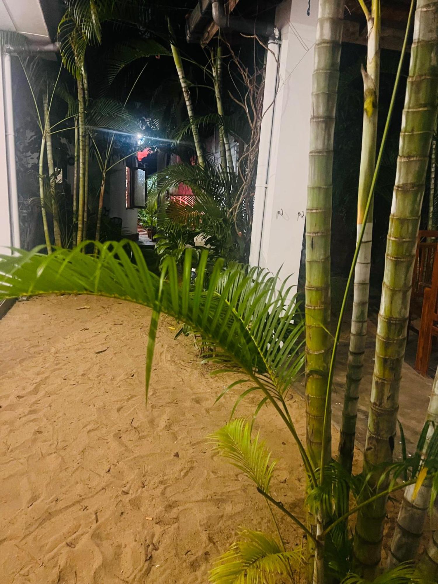Moxy Bay Arugambay Hotell Arugam Bay Exteriör bild