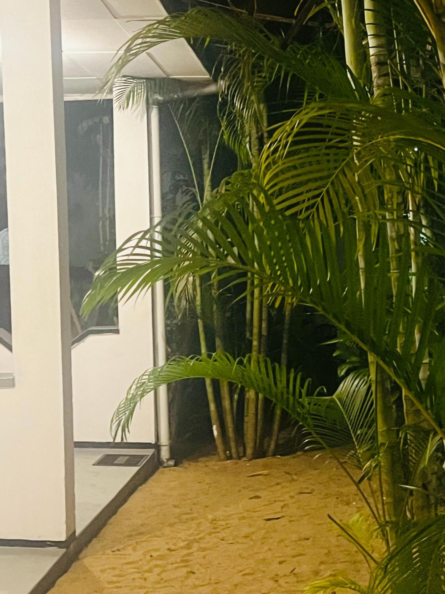 Moxy Bay Arugambay Hotell Arugam Bay Exteriör bild